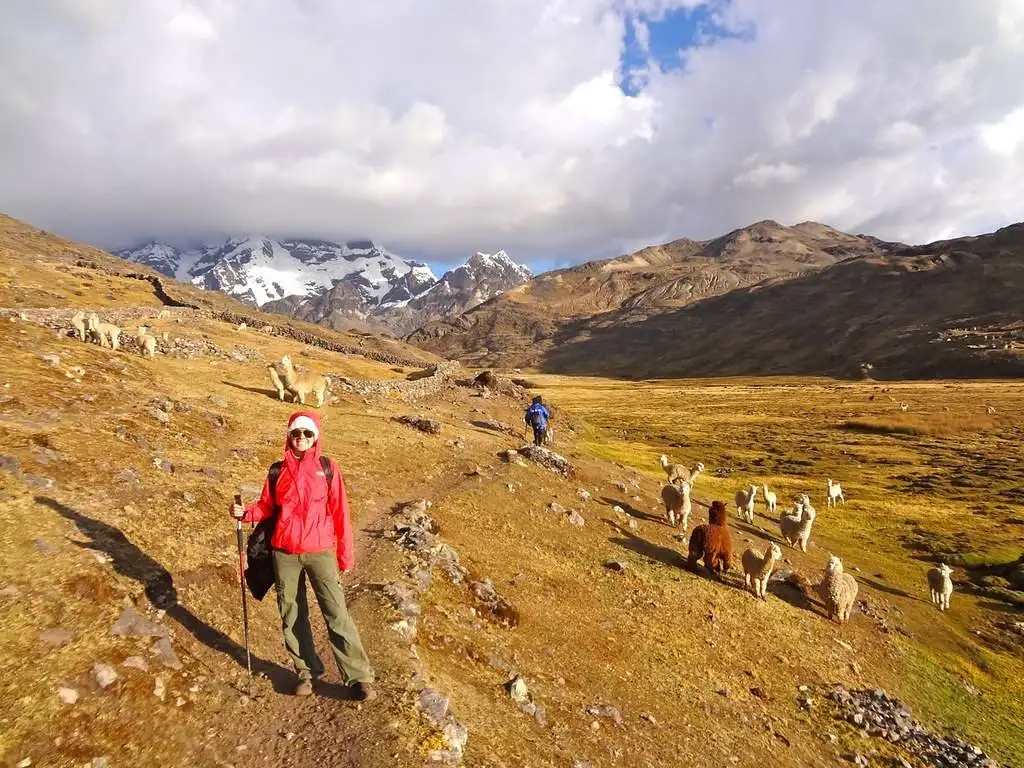 a woman is standing on the Apu Ausangate trail with llamas in the background.