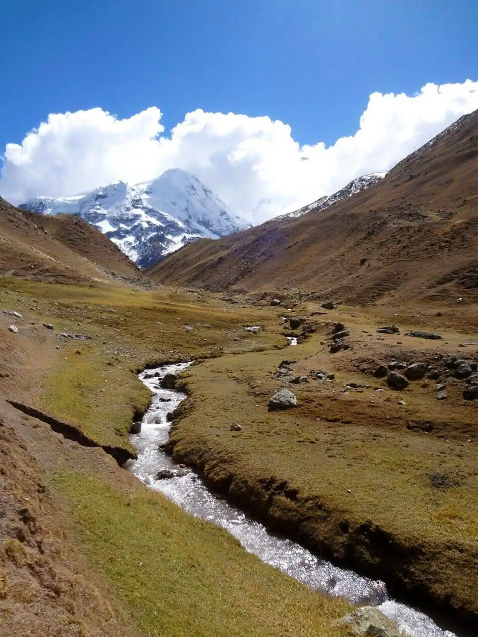 Apu Ausangate trekking offers breathtaking views of a stream winding through a grassy field, surrounded by majestic mountains.