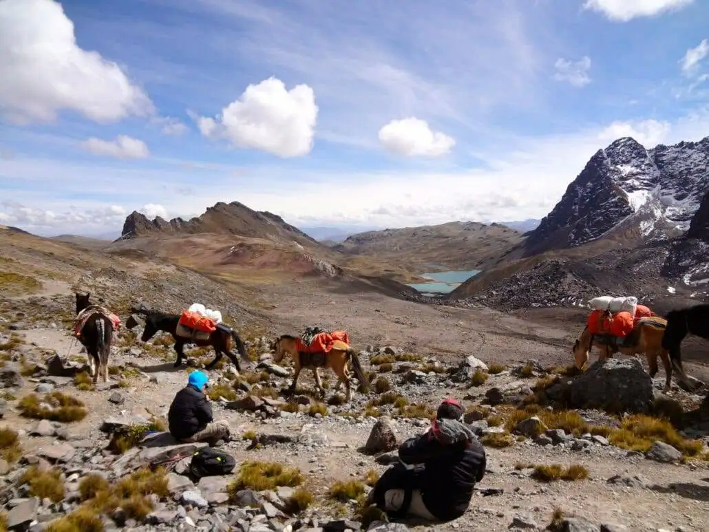 A group of people trekking on Apu Ausangate with horses.
