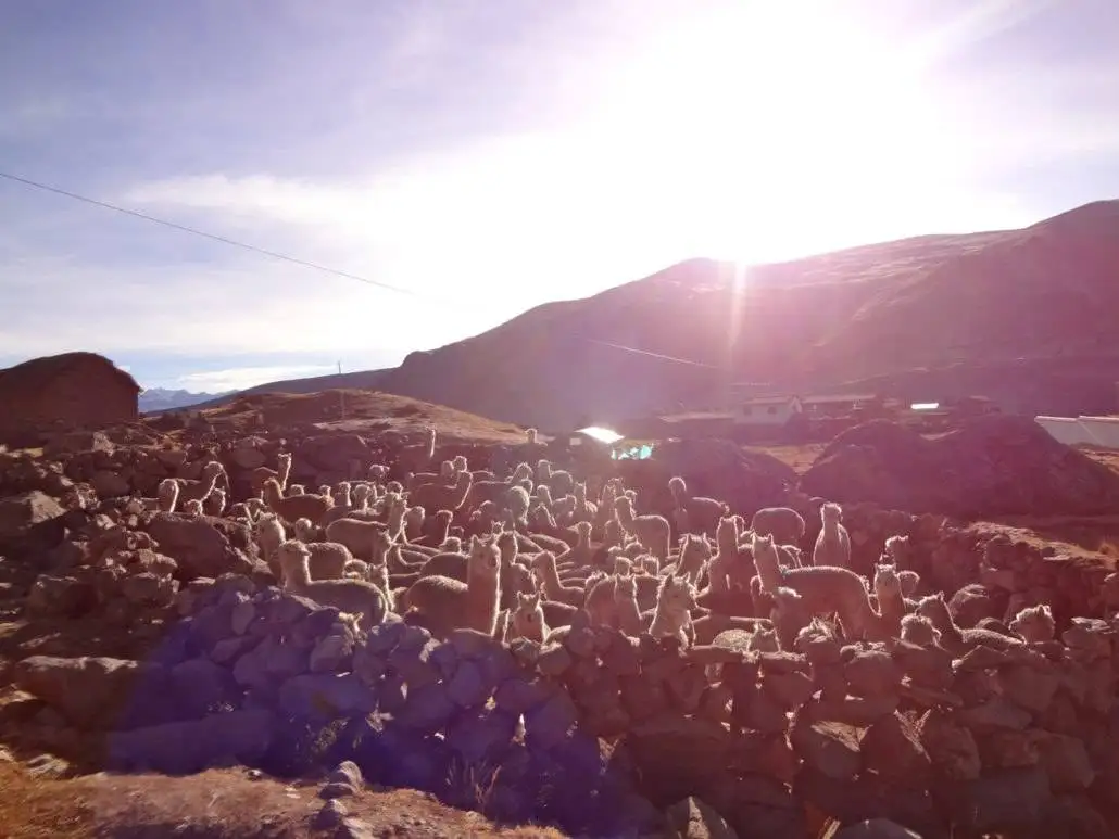 The group of rocks in a field is illuminated by the sun during the Apu Ausangate trekking.