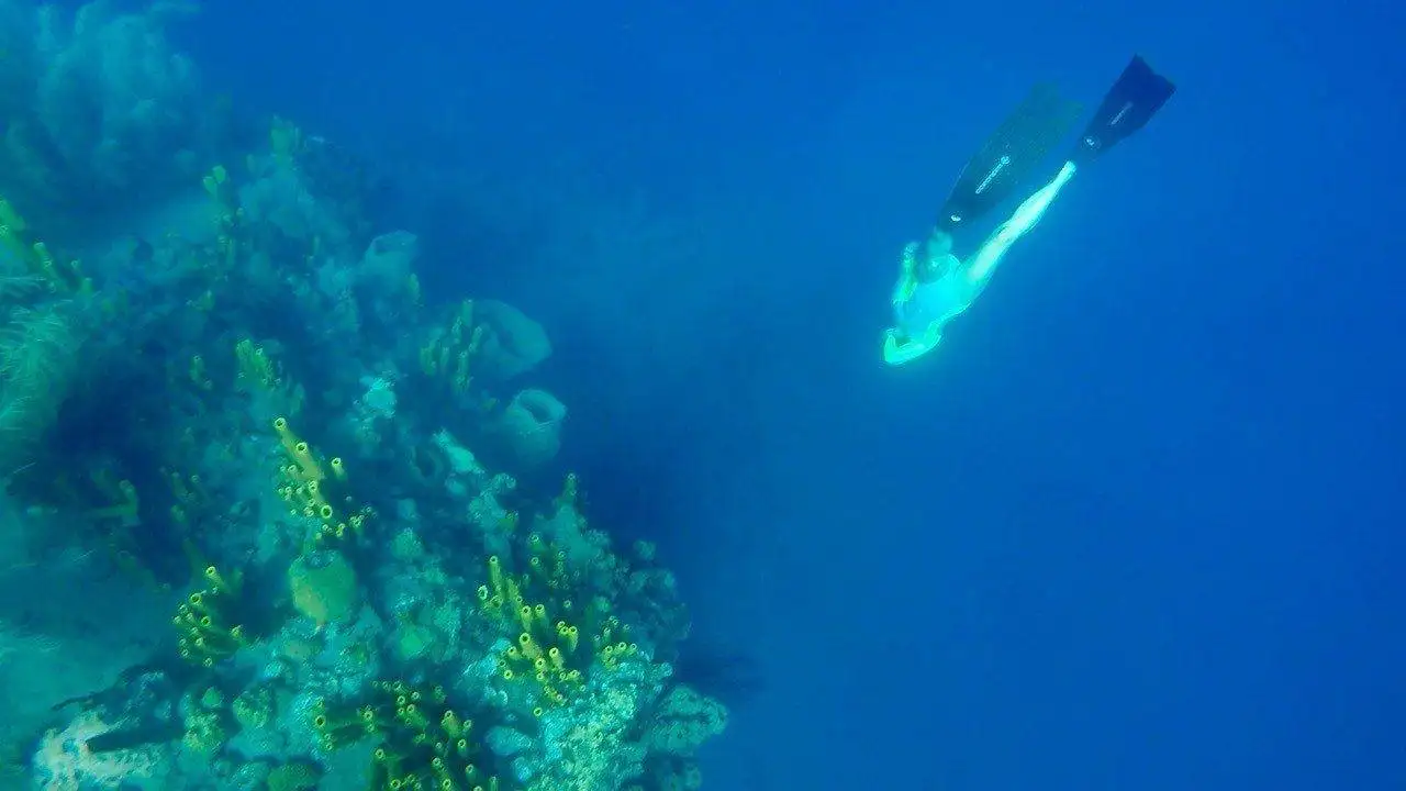 What to Expect from Your First Freediving Course