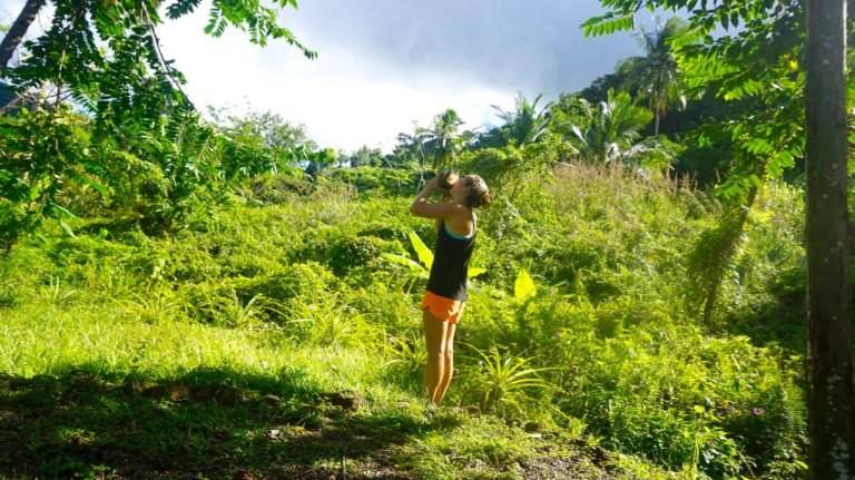 A woman is standing on top of a hill in the jungle, overlooking budget accommodation options in Dominica.