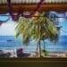 A budget-friendly Caribbean view of the ocean through a window.