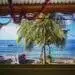 A budget-friendly Caribbean view of the ocean through a window.