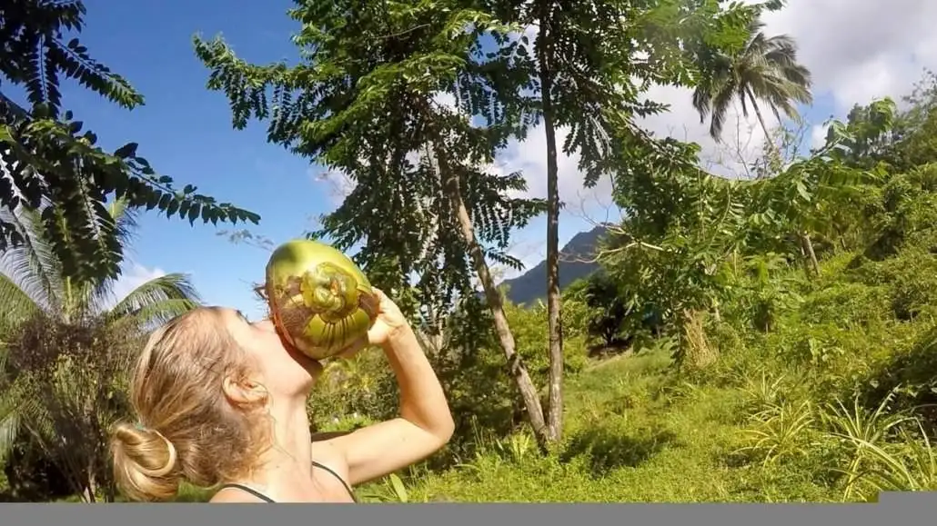 a woman drinking a coconut in the jungle.