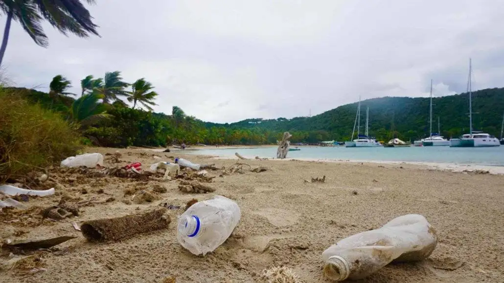 sustainable sailing