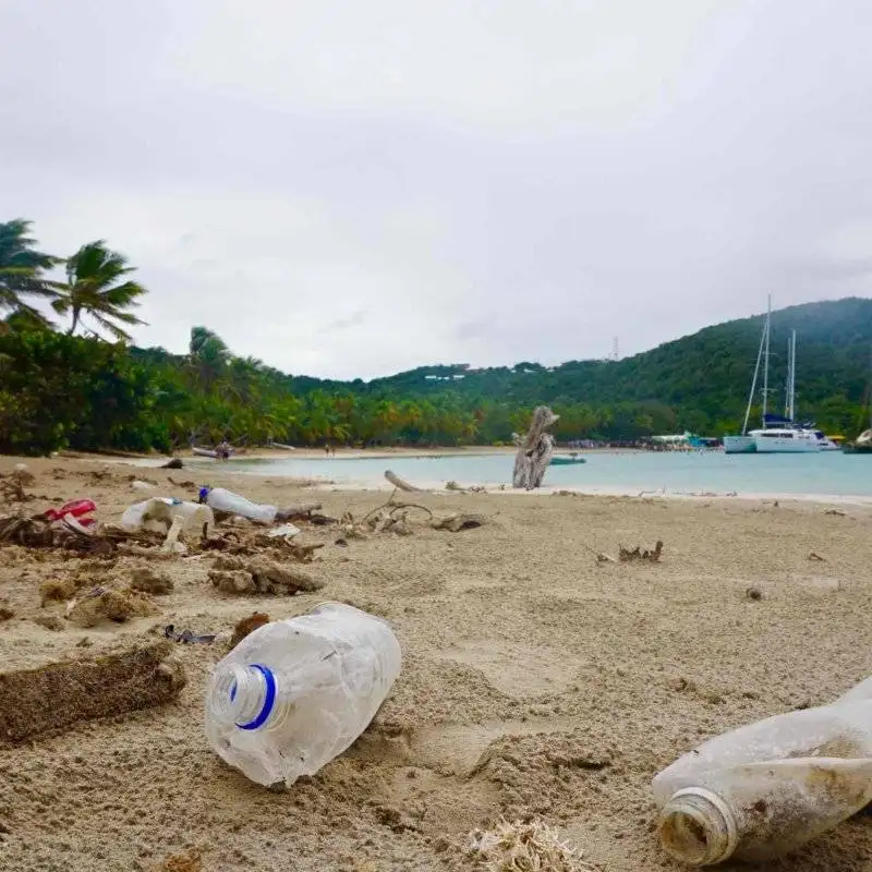 sustainable sailing