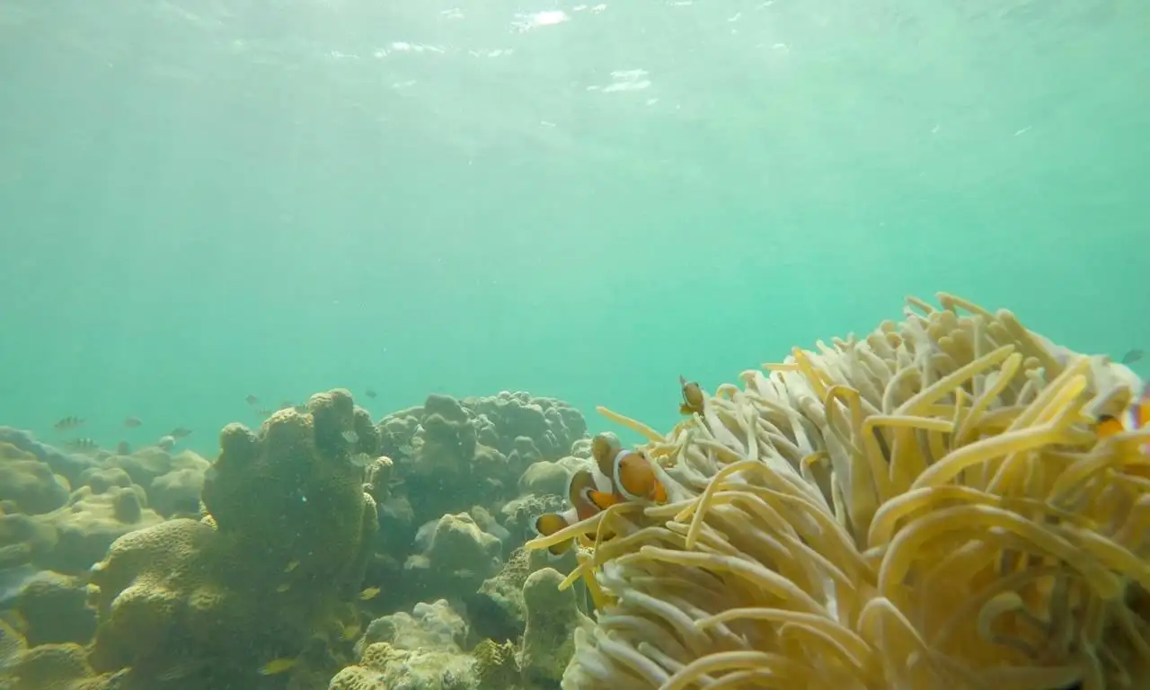 Why is the Ocean so important?