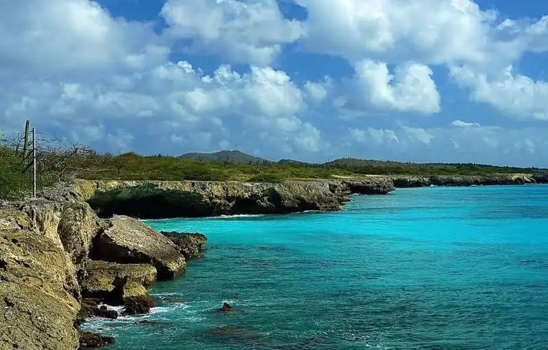 Freediving in the Caribbean