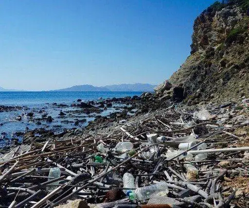 A polluted beach in need of the best water filtration for sustainable travel.
