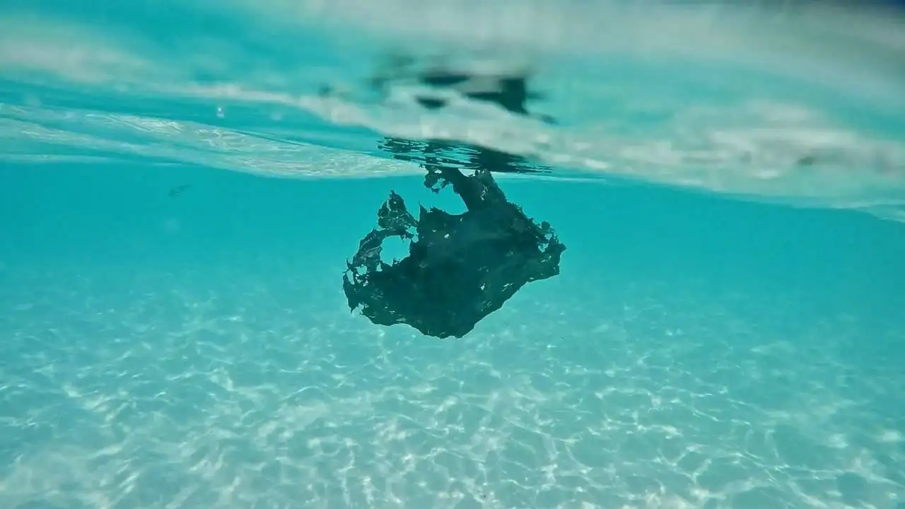 a black piece of plastic floating in the water.