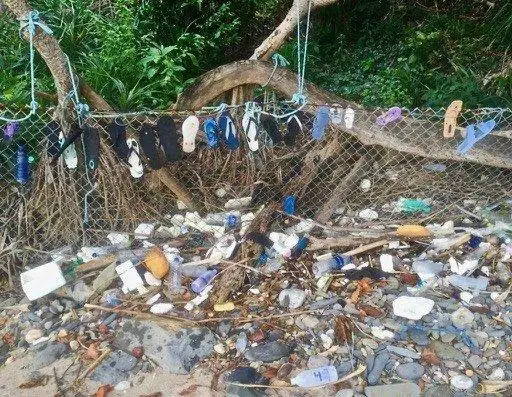 Plastic flip flops washed on the beach