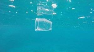 a plastic disposable cup floating in the ocean.