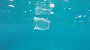 a plastic disposable cup floating in the ocean.