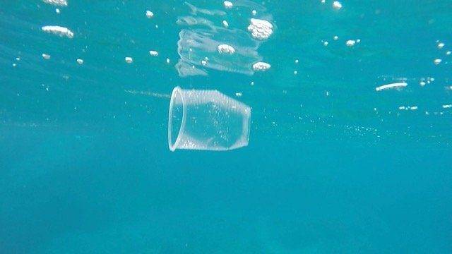 a plastic disposable cup floating in the ocean.