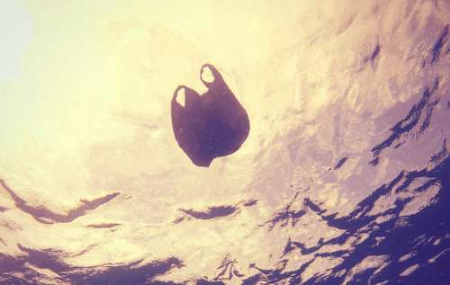 a black bag floating in the water.