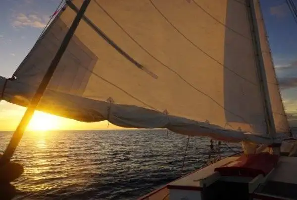 a sailboat sets sail in the ocean at sunset, showcasing the tranquility of sailing amidst the chaos of COVID-19.