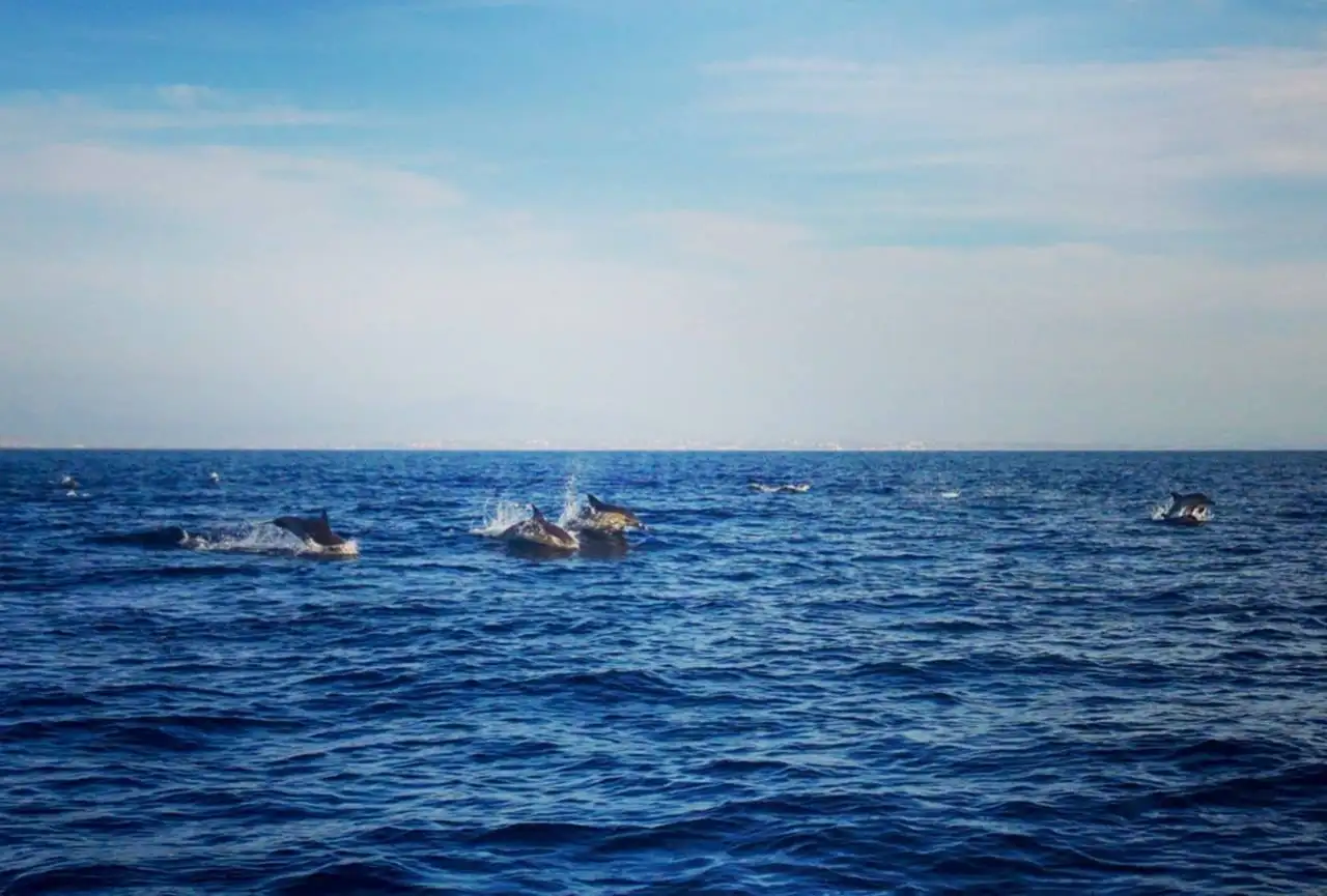 7 Reasons why the ocean is SO important