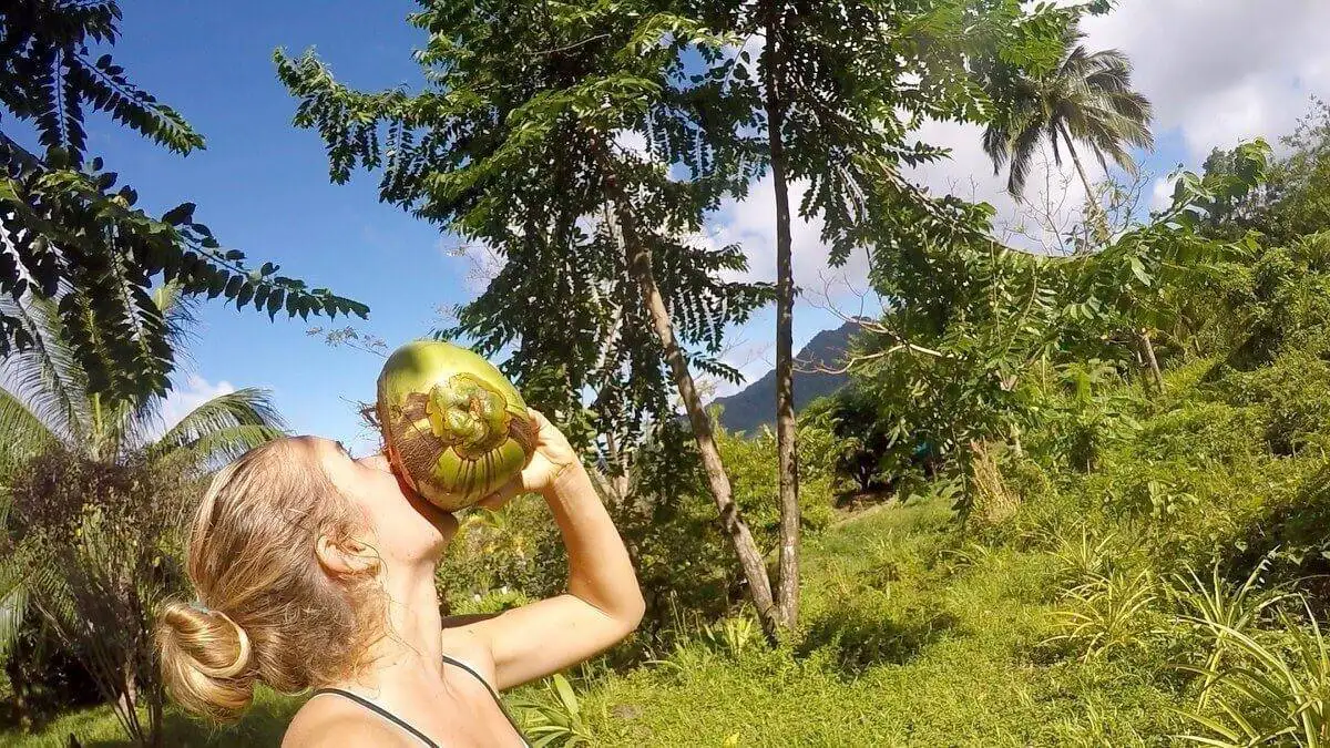 a woman using a travel water filter while drinking a coconut in the jungle.