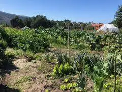 sustainable living online course