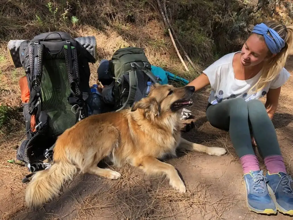 a woman petting a dog in front of a backpack.