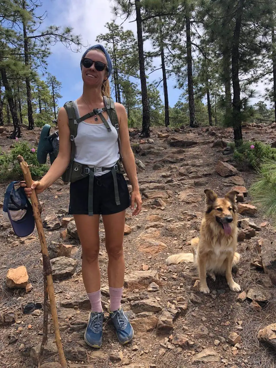 Suzanne hiking through the pine forest on the GR131 Tenerife.