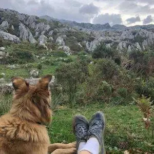 a dog sits on the grass next to a person's Altra Tru Hike Shoes.