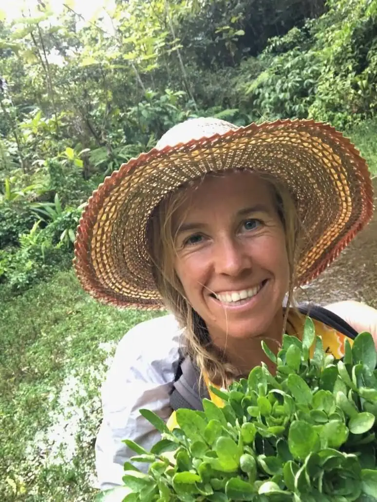 Suzanne foraging fresh greens in a straw hat on the Waitukubuli Trail.