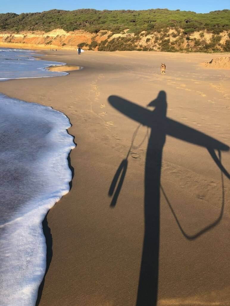The shadow of a surfer on the beach.