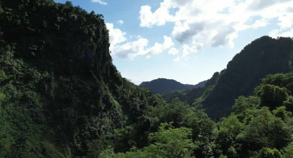 Aerial drone view of a lush green valley in Dominica on the Waitukubuli National Trail.