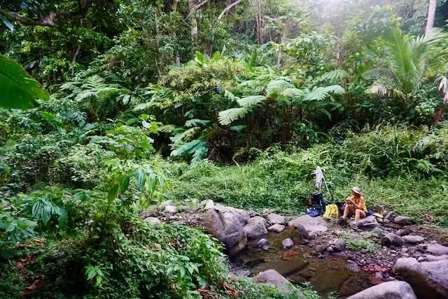 Waitukubuli National Trail navigation markers in the Dominica jungle.
