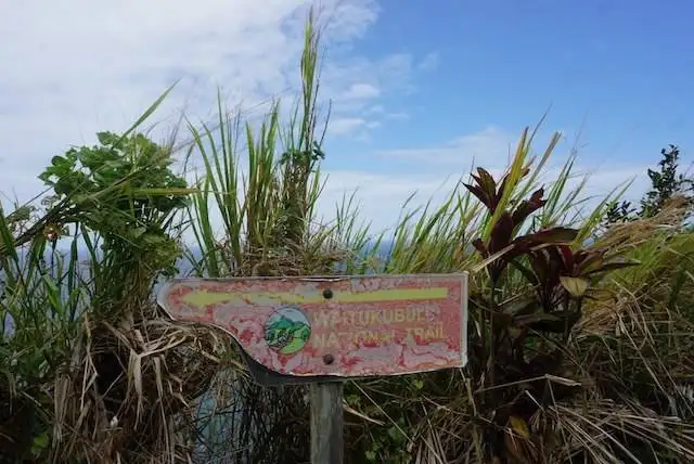 Grassy hill with ocean view on the Waitukubuli National Trail.