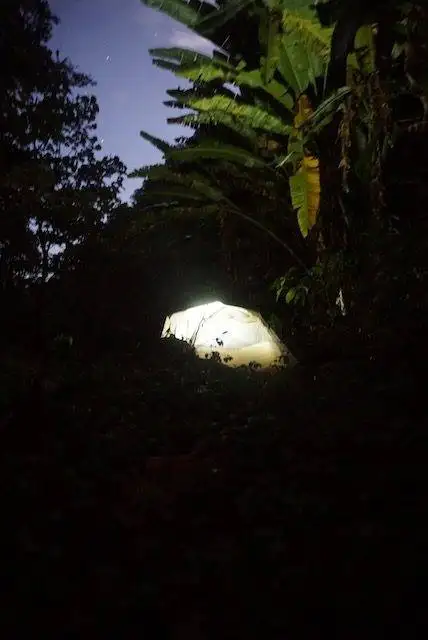 Tent lit up at night in the Dominica jungle on the Waitukubuli Trail.