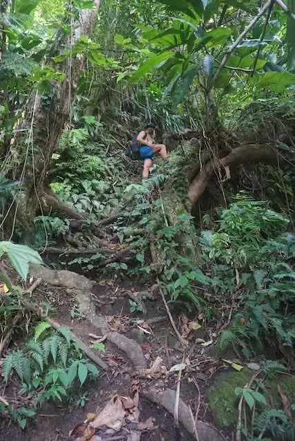 Jonatan on rope work section of the Waitukubuli National Trail jungle hike.
