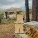 best budget compost toilet for camper
