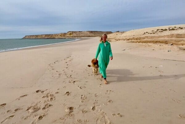 Person in a turquoise outfit walking on a sandy beach with a brown dog, leaving footprints along the shoreline under a cloudy sky.