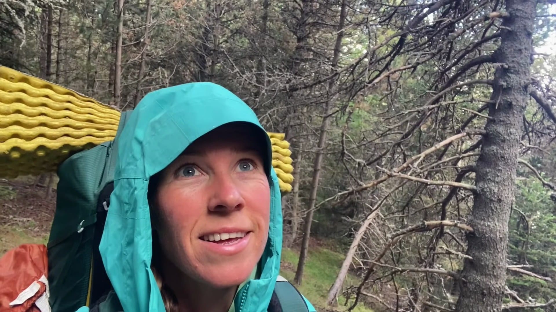 A person wearing a teal hooded jacket and backpack stands in a forest, looking upward; yellow sleeping pad visible on the backpack.