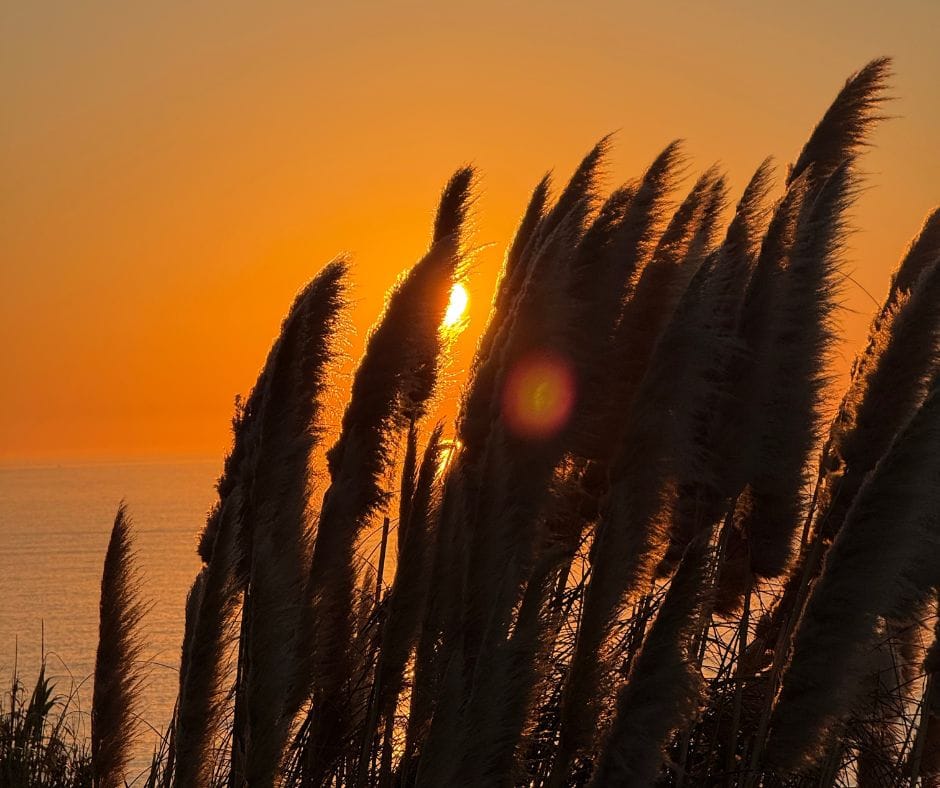 Sunset over the Atlantic ocean on the Fisherman's Trail Portugal.