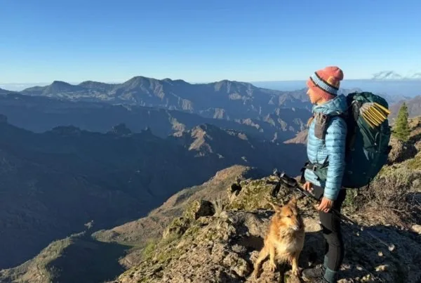 A hiker with a backpack and a dog stands on a rocky mountain ridge, overlooking a vast landscape of mountains under a clear blue sky.