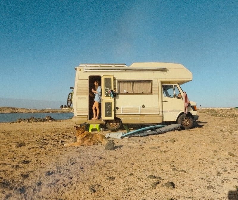 A woman stands in the doorway of a beige camper van parked on a sandy, rocky beach with a dog lying nearby and surfboards on the ground.
