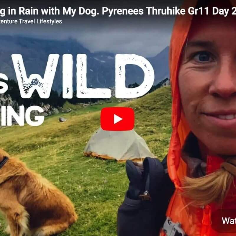 A woman in an orange hood and a dog sit near tents on a grassy hillside with mountains in the background. Text reads, "THIS IS WILD CAMPING.