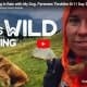 A woman in an orange hood and a dog sit near tents on a grassy hillside with mountains in the background. Text reads, "THIS IS WILD CAMPING.