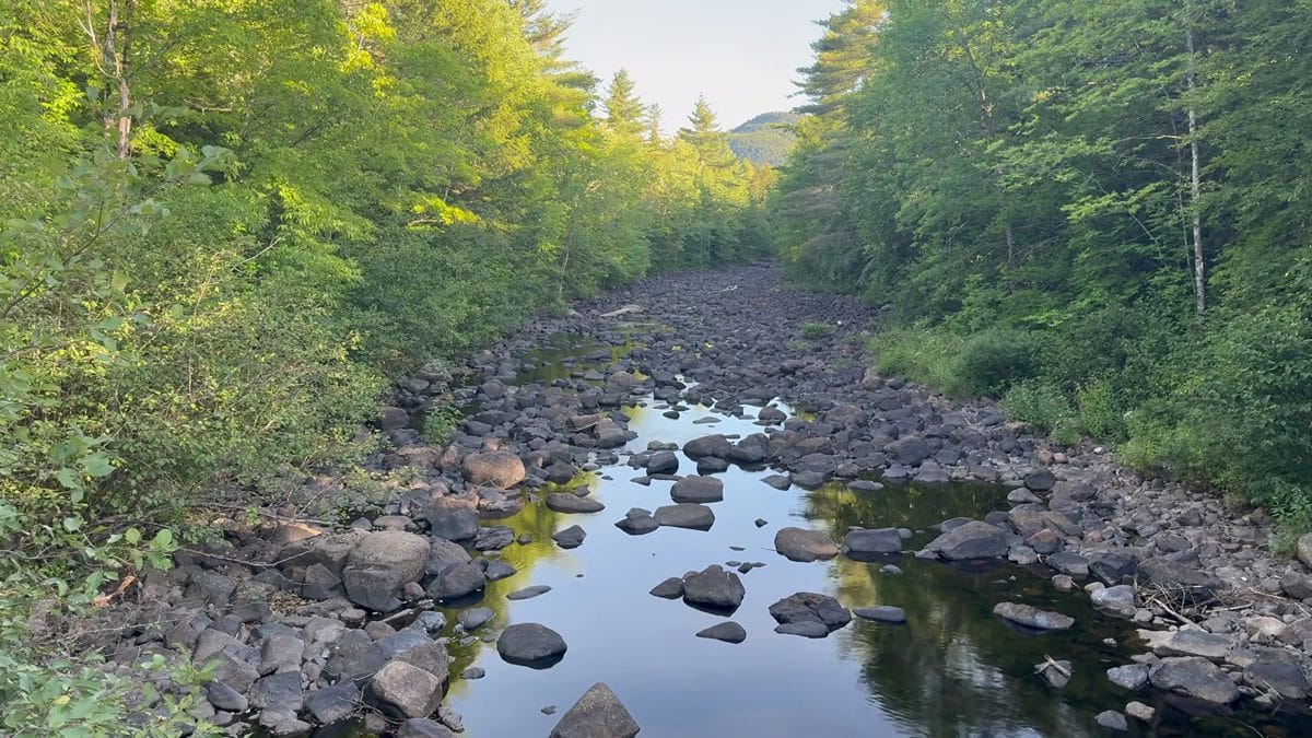 A clear mountain stream flowing over moss-covered boulders through a lush deciduous forest on the Appalachian Trail
