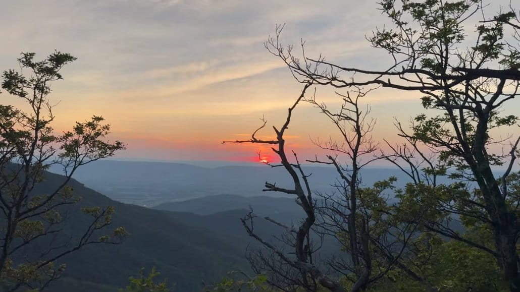 Golden sunset over layered Appalachian mountain ridges viewed from a high elevation viewpoint, with silhouetted trees in the foreground