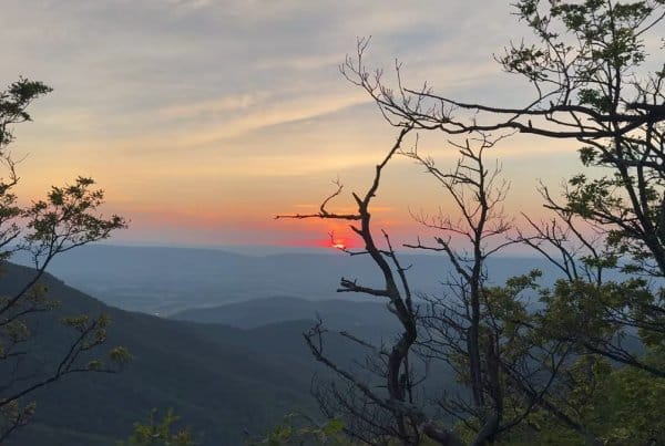 Golden sunset over layered Appalachian mountain ridges viewed from a high elevation viewpoint, with silhouetted trees in the foreground