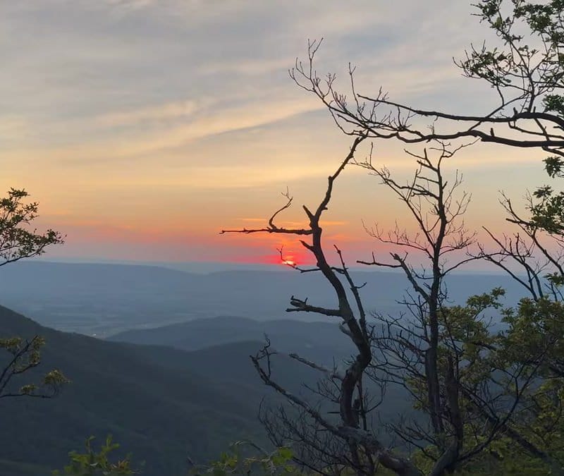 Golden sunset over layered Appalachian mountain ridges viewed from a high elevation viewpoint, with silhouetted trees in the foreground