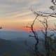 Golden sunset over layered Appalachian mountain ridges viewed from a high elevation viewpoint, with silhouetted trees in the foreground
