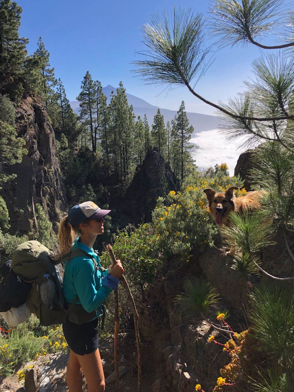 On the GR131 Tenerife with backpack and trail ahead.