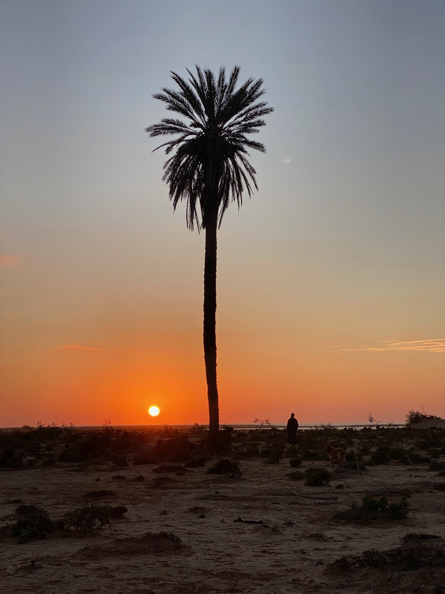 Dakhla kite and surf guide