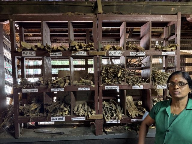 Ayurvedic herbs and roots from which medicine is made, on wooden shelves in Kerala